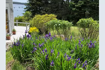 14 Deer Run Lane, Swans Island, ME 04685 - Photo 31