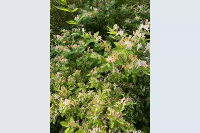 203 Garnet Head Road, Pembroke, ME 04666 - Photo 13