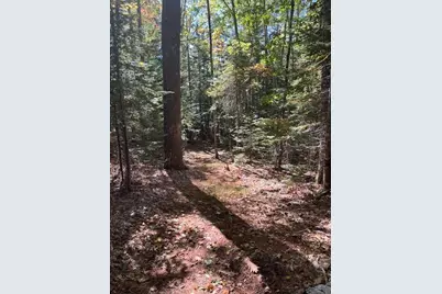203 Garnet Head Road, Pembroke, ME 04666 - Photo 89