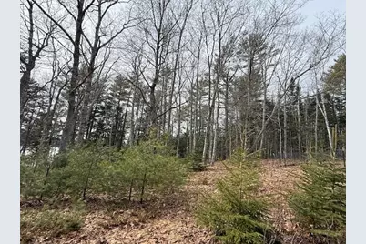 203 Garnet Head Road, Pembroke, ME 04666 - Photo 85