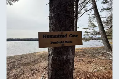 203 Garnet Head Road, Pembroke, ME 04666 - Photo 85