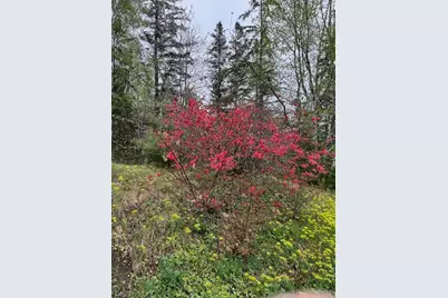 203 Garnet Head Road, Pembroke, ME 04666 - Photo 81