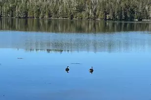 203 Garnet Head Rd, Pembroke, ME 04666 - Photo 87