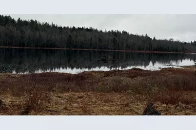 0 Guzzle Road, Gouldsboro, ME 04607 - Photo 1