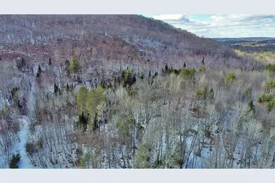 Lot 11 Drews Mill Road, Linneus, ME 04730 - Photo 13