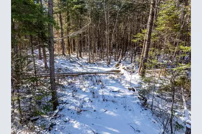 382 Woodland Road, Princeton, ME 04668 - Photo 5