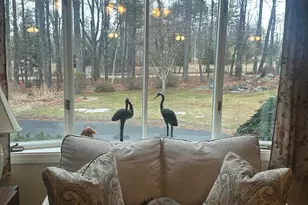 271 Hampden Rd, Carmel, ME 04419 - Photo 7