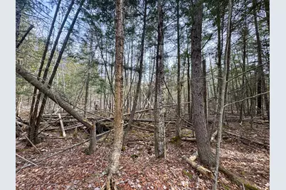 M11L10 Off Gordon Hill Road, Thorndike, ME 04986 - Photo 11
