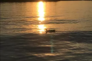 7 Casselton Rd, Raymond, ME 04071 - Photo 13