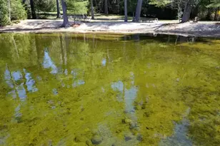 7 Casselton Rd, Raymond, ME 04071 - Photo 105