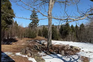 30 Virginia Trail, Greenville, ME 04441 - Photo 27