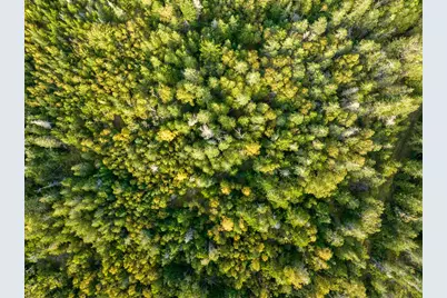 M11 L15 N Lubec Road, Lubec, ME 04652 - Photo 27