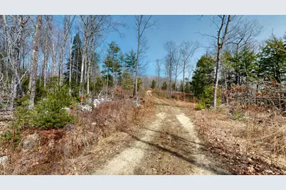 Lot 13B Wiley Road, Greene, ME 04236 - Photo 5