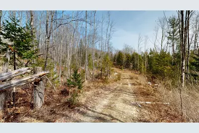 Lot 13B Wiley Road, Greene, ME 04236 - Photo 3
