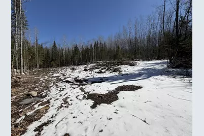 259 Page Hill Road, Ripley, ME 04923 - Photo 3