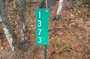 1373 Bailey Rd, Jackson, ME 04921 - Photo 1