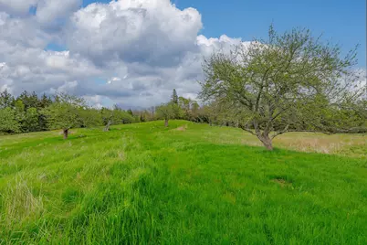 17 Barbour Farm Road, Stonington, ME 04681 - Photo 31