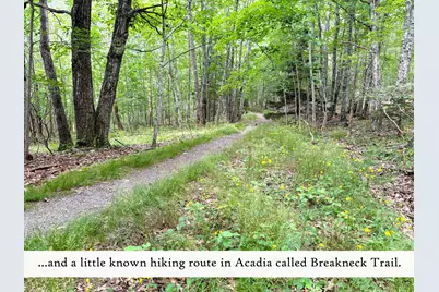 7 Harbor Lights Road, Bar Harbor, ME 04609 - Photo 21