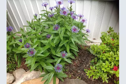 165 Togus Road, Chelsea, ME 04330 - Photo 41