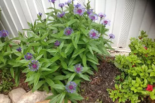 165 Togus Rd, Chelsea, ME 04330 - Photo 41