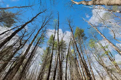 Lot 3 Kennebrook Lane, Lyman, ME 04002 - Photo 11