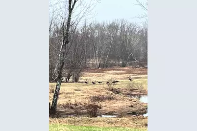 474 N Howland Road, Howland, ME 04448 - Photo 57