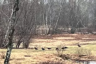 474 N Howland Rd, Howland, ME 04448 - Photo 57