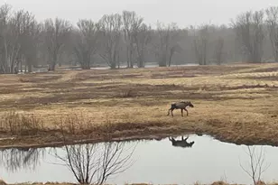 474 N Howland Rd, Howland, ME 04448 - Photo 53