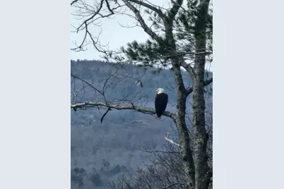 30 Willins Orchard Road, Bucksport, ME 04416 - Photo 55