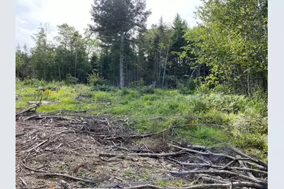 Lot128C Love Lake Road, Crawford, ME 04694 - Photo 5