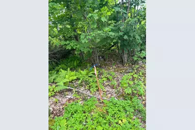 Lot128C Love Lake Road, Crawford, ME 04694 - Photo 13