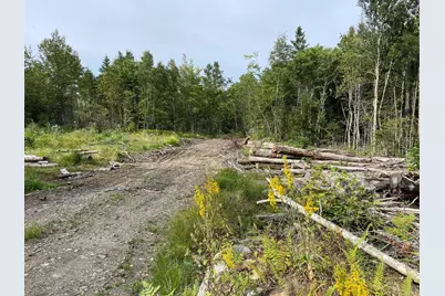 Lot128C Love Lake Road, Crawford, ME 04694 - Photo 3