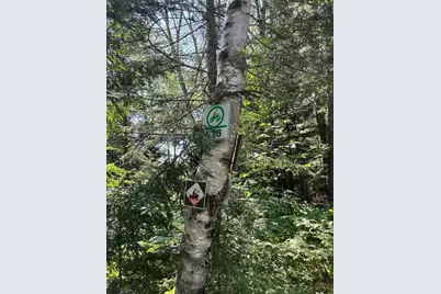 Lot128C Love Lake Road, Crawford, ME 04694 - Photo 15