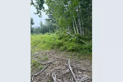 Lot128C Love Lake Road, Crawford, ME 04694 - Photo 7