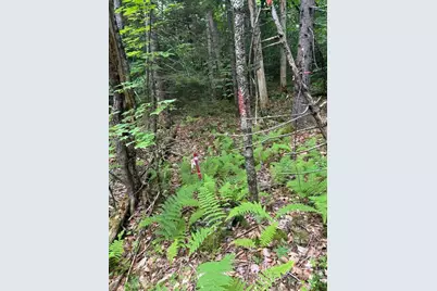 Lot128C Love Lake Road, Crawford, ME 04694 - Photo 11