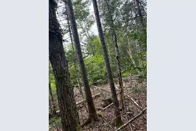 Lot128C Love Lake Road, Crawford, ME 04694 - Photo 9