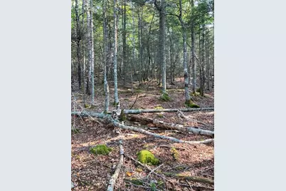 Lot 17A Yoho Head Road, Machiasport, ME 04655 - Photo 7