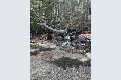 Lot 17A Yoho Head Road, Machiasport, ME 04655 - Photo 9