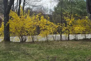 341 East Road, Wales, ME 04280 - Photo 31