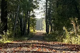 119 Reynolds Rd, Brooks, ME 04921 - Photo 21