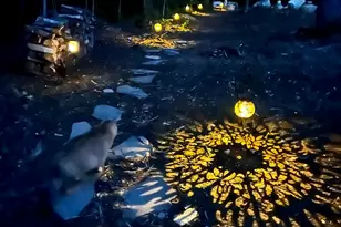 119 Reynolds Rd, Brooks, ME 04921 - Photo 25