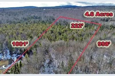 Lot 11-3-1 New Limerick Road, Linneus, ME 04730 - Photo 11