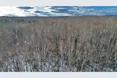 Lot 11-3-1 New Limerick Road, Linneus, ME 04730 - Photo 23