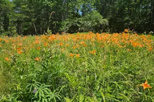 15 Eagle Ln, Damariscotta, ME 04543 - Photo 1