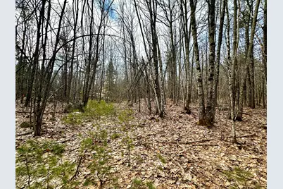 332 Folly Road, Sebago, ME 04029 - Photo 1