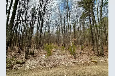 332 Folly Road, Sebago, ME 04029 - Photo 3