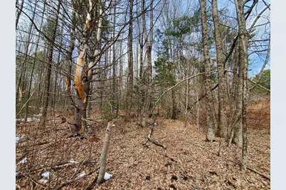 0 Burough Road, Dover Foxcroft, ME 04426 - Photo 13
