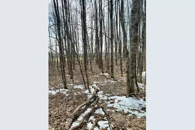 0 Burough Road, Dover Foxcroft, ME 04426 - Photo 7