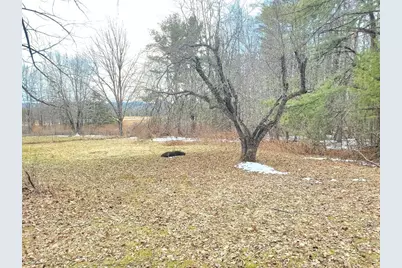 0 Burough Road, Dover Foxcroft, ME 04426 - Photo 3