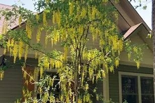 21 Bald Mountain Rd, Camden, ME 04843 - Photo 53